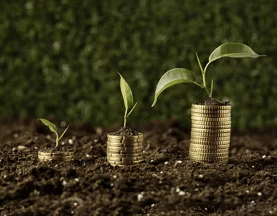 Deshwal sustainability activity